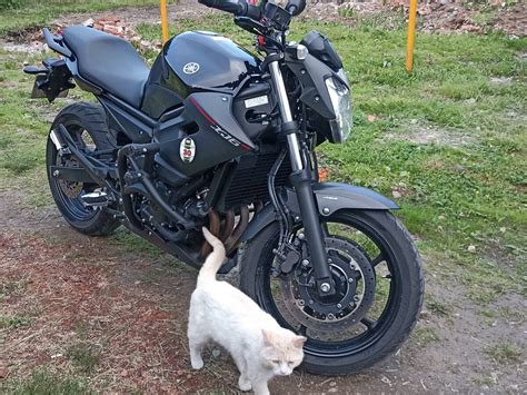 Купить б у Yamaha XJ6 FZ6R инжектор 6 передач в Нижнем Новгороде чёрный naked bike 2012 года