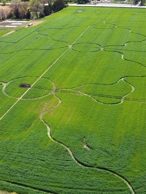 monocrop farm archives km