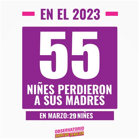 AHORA QUE SI NOS VEN Informes 74 FEMICIDIOS En 2023