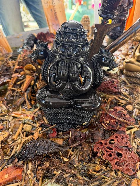 tafsir mimpi kucing kawin 2d 7