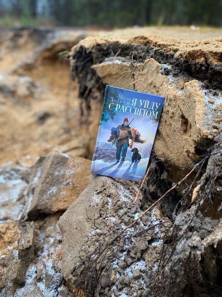 Меган Холлоуэй "Я уйду с рассветом" Издательство «Аркадия» 320 стр ...