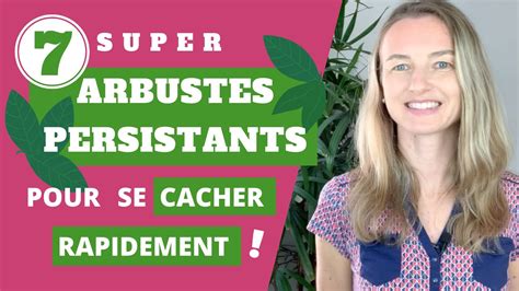 7 Super Arbustes PERSISTANTS Pour Se Cacher RAPIDEMENT YouTube