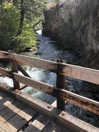 Rapid River Trail Riggins Idaho Hike To Potter Flat Jason Talbot