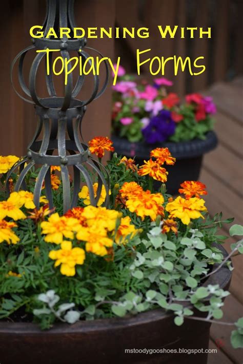 Gardening With Topiary Forms Topiary Topiary Plants Outdoor Topiary