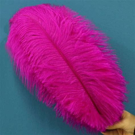 Pink Ostrich Feathers Etsy