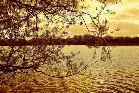 Fotos Gratis Paisaje Rbol Agua Naturaleza Al Aire Libre