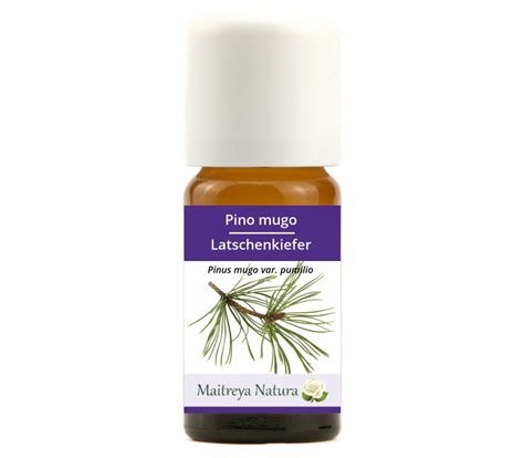 Olio essenziale di Pino Mugo, Proprietà di pino mugo