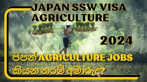 Japan Ssw Visa Agriculture Jobs