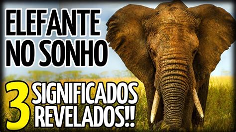 Alerta O Que Significa Sonhar Elefante Verdadeiro Significado