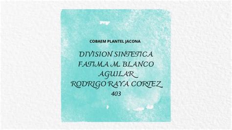 Division Sintetica