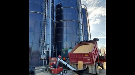 Hauling High Moisture Corn To The Silo Youtube