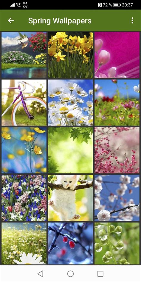 Android için Spring Wallpapers İndir