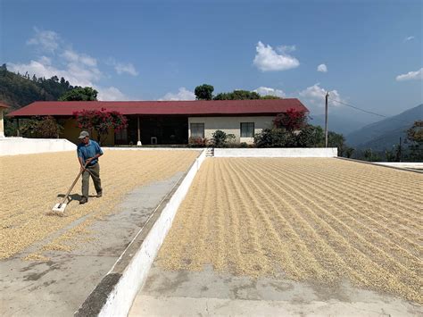 Guatemala Trip, Part 4: Huehuetenango – PT's Coffee