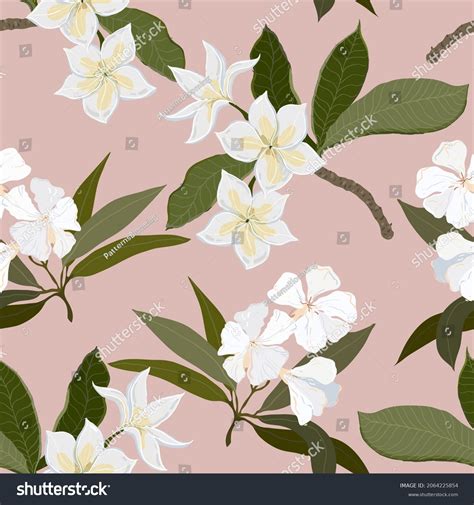 White Plumeria Flowers On Nude Pink Stock Illustration Shutterstock