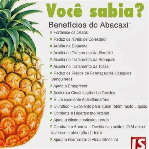 Abacaxi Benefícios E Malefícios - Benefícios do Abacaxi para Nossa Saúde
