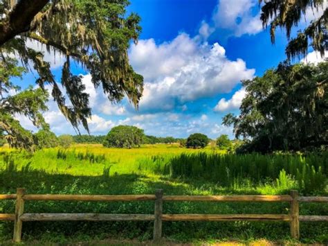 Beautiful Views At Marsh Bend Nature Trail Villages