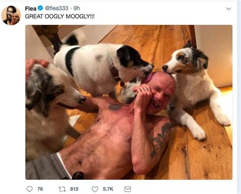 Flea From The Red Hot Chilli Peppers Living His Best Life R Wholesomememes