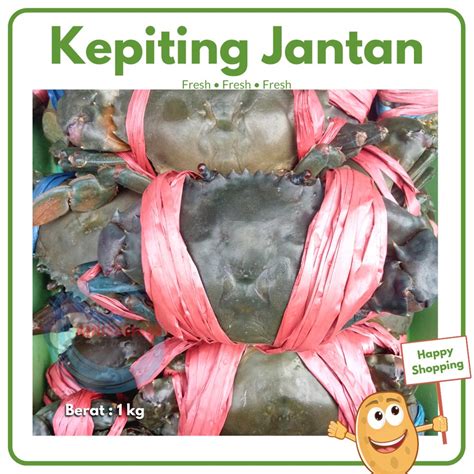 Jual Kepiting Jantan Kepiting Telur Hidup Segar Fresh Crab Surabaya