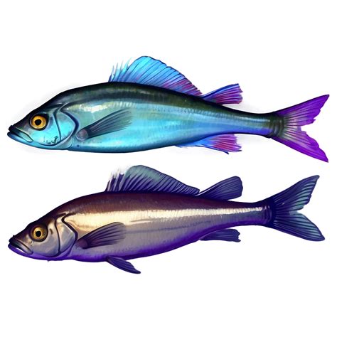 Download Realistic Fish Png Ptw
