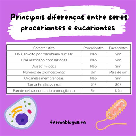 Principais Diferen As Entre Seres Procariontes E Eucariontes