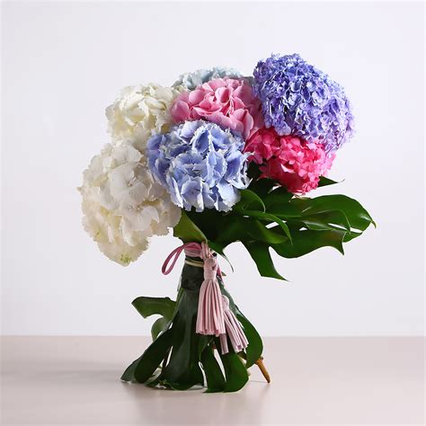Букет з 7 гортензій мікс ᐈ Купити букет гортензій з доставкою в Україні ...
