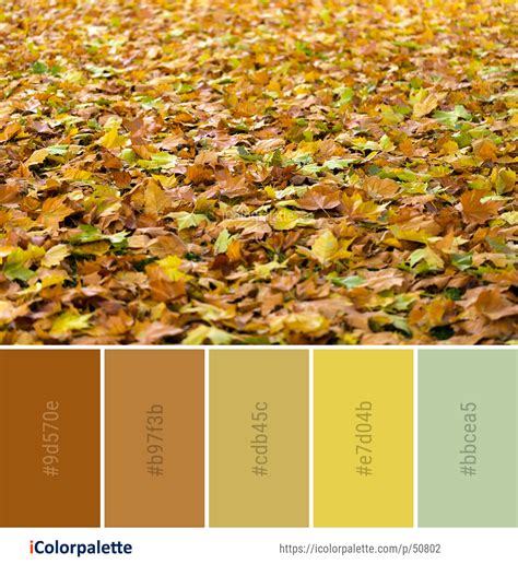 Color Palette Ideas From Autumn Images Icolorpalette Green