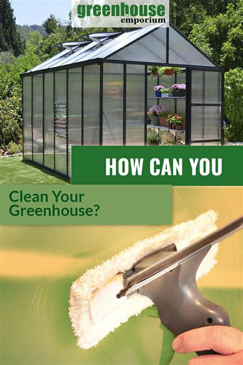 How Do I Clean My Greenhouse & How Often? | Greenhouse Emporium 