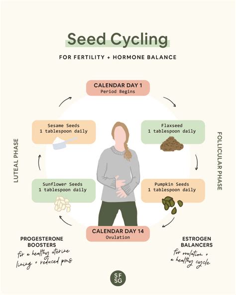 Seed Cycling Chart Recipes Tips For Fertility Hormone Balance So