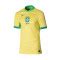 Camiseta Nike Brasil Primera Equipación Copa América 2024 Dynamic