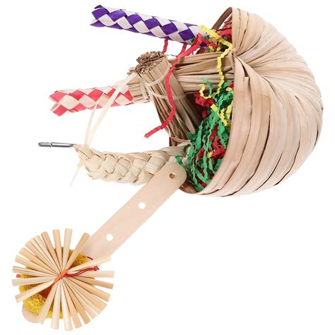 can parrot scratching without vet 2