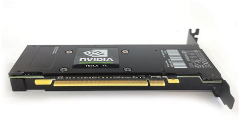 NVidia Tesla T4显卡价格_T4 16GB GPU推理加速卡参数