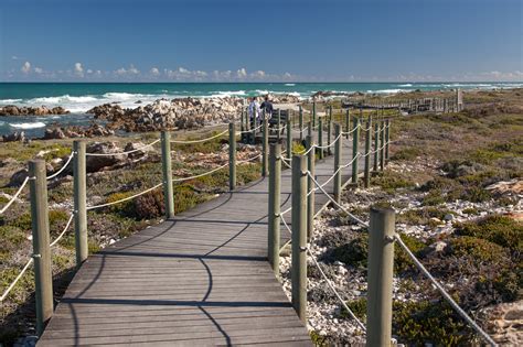 Southern Tip Of Africa Grootbos Private Nature Reserve™