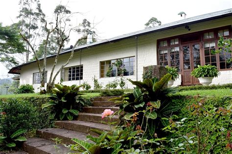 Binoya Tea Estate Bungalow Prices And Specialty Bandb Reviews Rozelle