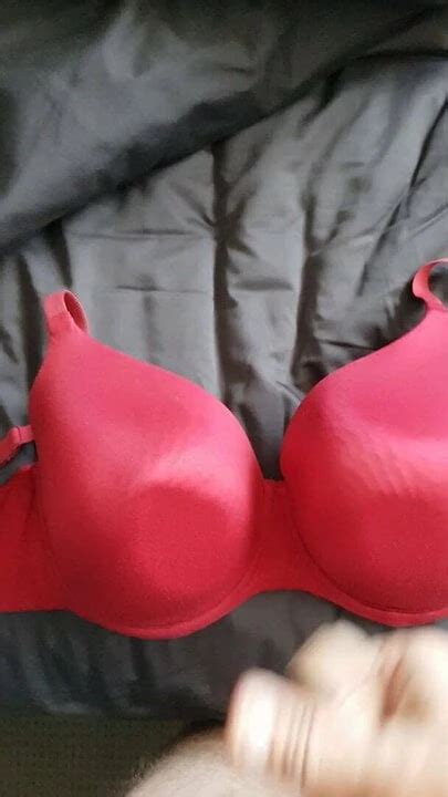 Cumming On Wife S Red Bra Gay Man Porn XHamster