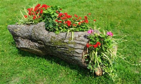 Log Planters Fascinating DIY Ideas