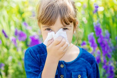 Understanding Seasonal Allergies In Children Symptoms And Management