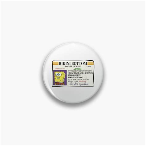 Bikini Bottom Drivers License Sticker For Sale By Joshhoffman Redbubble
