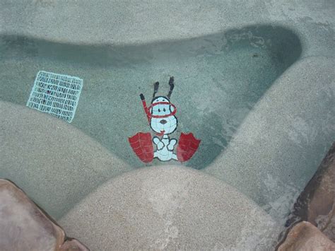 SNOOPY IN THE HOT TUB Hot Tub Snoopy Tub