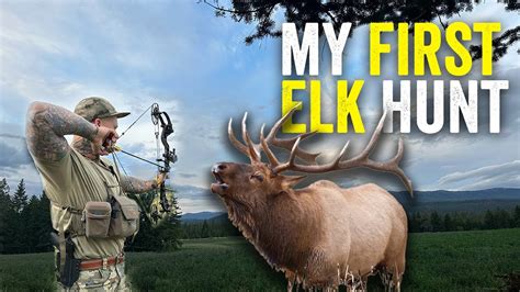 Elk Hunt Youtube