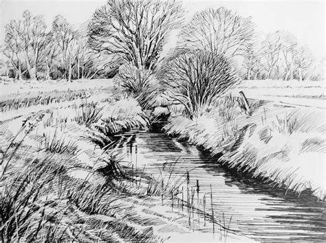 Trees in the Landscape 2. 2015. Pen & Ink. Glyn Overton. | Landscape ...