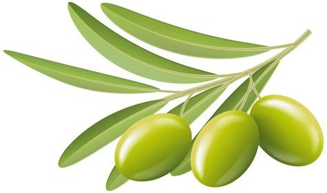 Olive Clipart Olive Transparent Free For Download On Webstockreview 2024