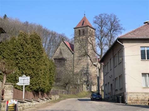 Vyskeř - Živéobce.cz