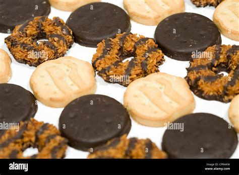 Thin Mints Trefoils And Samoas Girl Scout Cookies Stock Photo Alamy