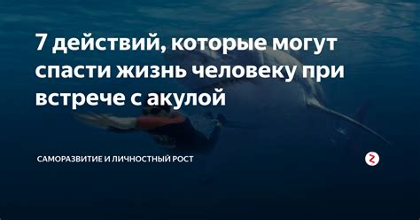 7 действий, которые могут спасти жизнь человеку при встрече с акулой ...