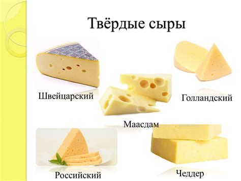Виды Сыра С Фото — Фото Картинки