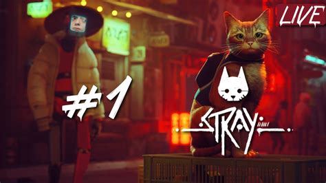 JOGANDO STRAY PELA PRIMEIRA VEZ BORA CONFERIR O GAME DO GATINHO YouTube