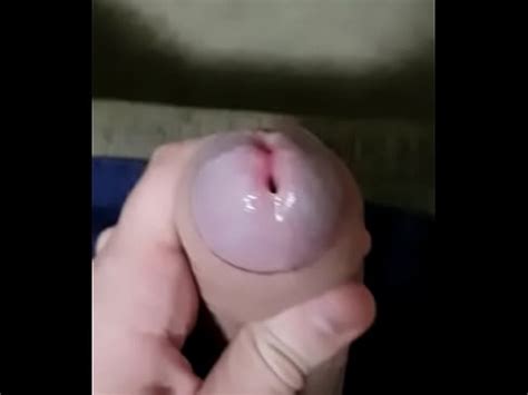 Pulsando O Pau XVIDEOS