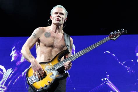 Flea October Red Hot Chili Peppers Red Hot Chili Peppers Cool Bands Rhcp