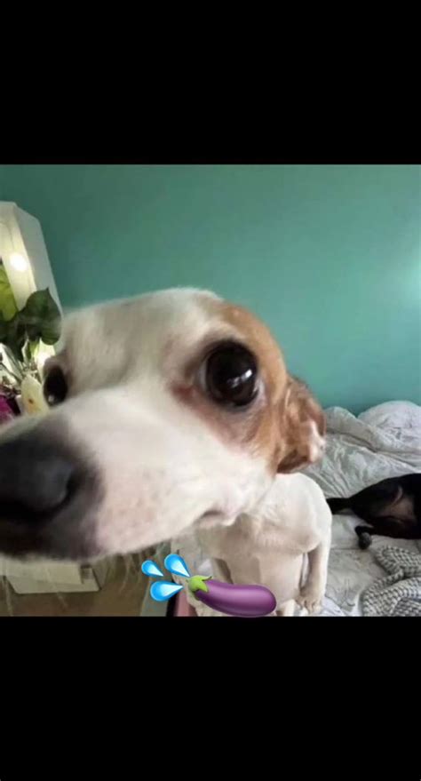 Meowriza Ass On Twitter Makaii H Https T Co WEvBCy GZ Twitter