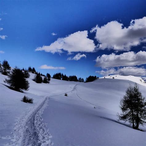 Trekking Invernale Al Pian Delle Betulle E Cima Di Olino Con Terre Alte